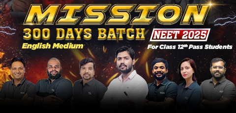 NEET 2025 Mission 300 Days Batch English Medium