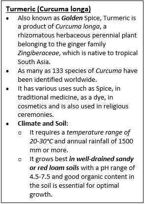 National Turmeric Board