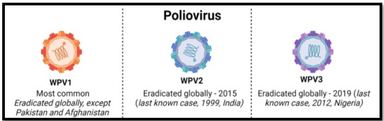 Polio Cases in Pakistan