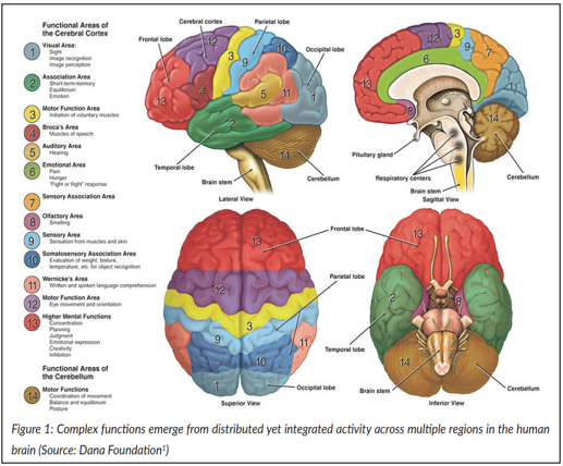 “Moonshot” Project on Brain Co-Processors